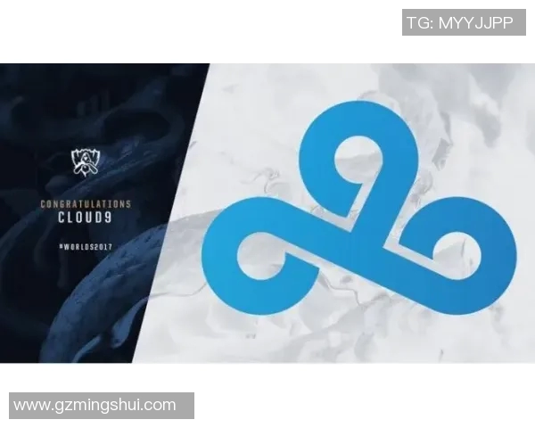 世界大师赛中WE团队协作表现分析与评价探讨