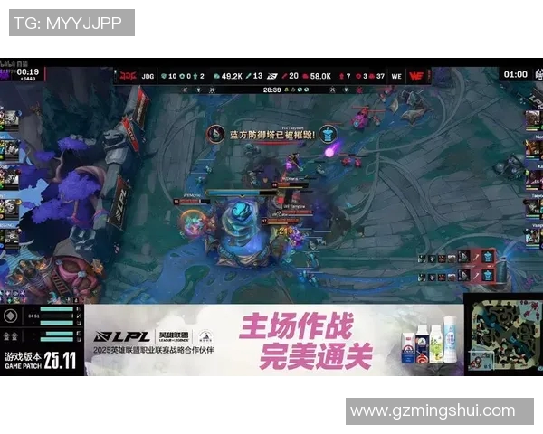 赛后分析JDG与WE对决中的节奏变化与战术执行